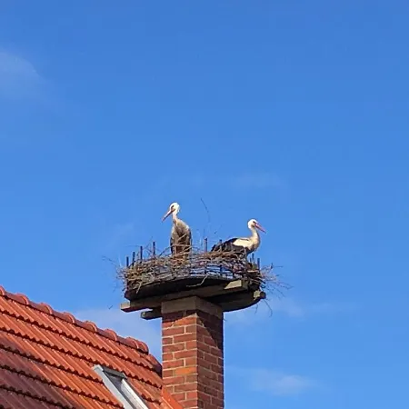 Bauernhof Am Storchennest Mit Sauna Und E-tankstelle Vakantiehuis